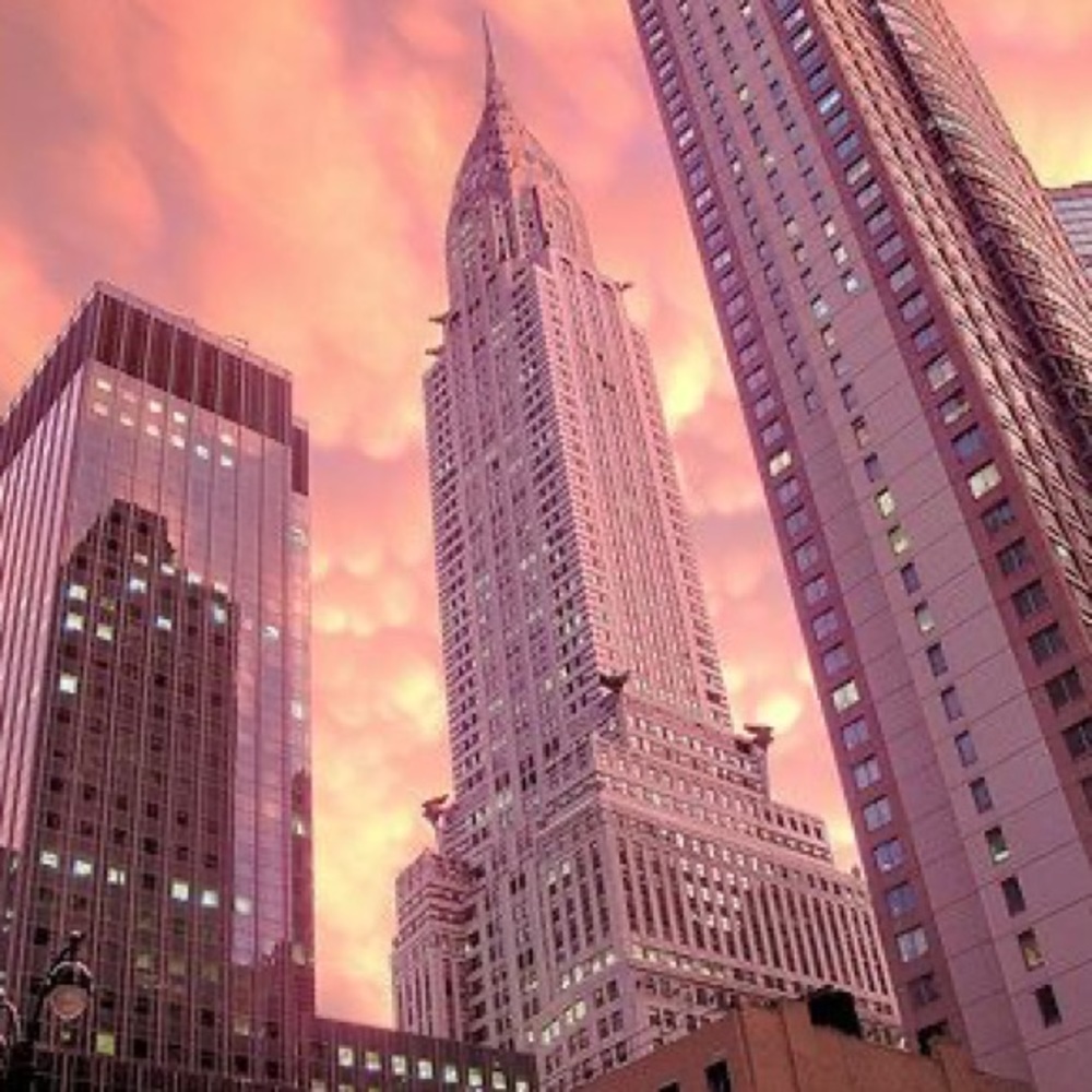 Meet your Posh Ambassador 💁🏻‍♀️